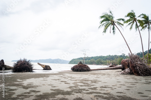 Erosion of the coast