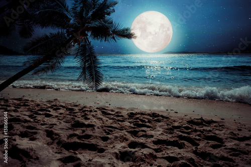Beautiful fantasy tropical beach with star and full moon in night skies (seascape) - Retro style artwork with vintage color tone