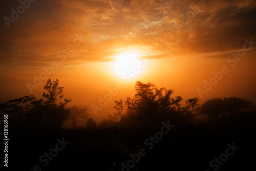 first rays of the rising sun on Mountain. Dreamy fogy landscape, spring orange pink misty sunrise
