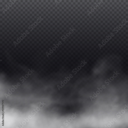 Fog or smoke isolated transparent special effect. Beautiful white vector cloudiness, mist or smog background. Vector illustration.