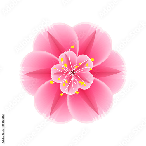 Isolated flower of sakura. Cartoon pink and white blossom of Japanese cherry tree.