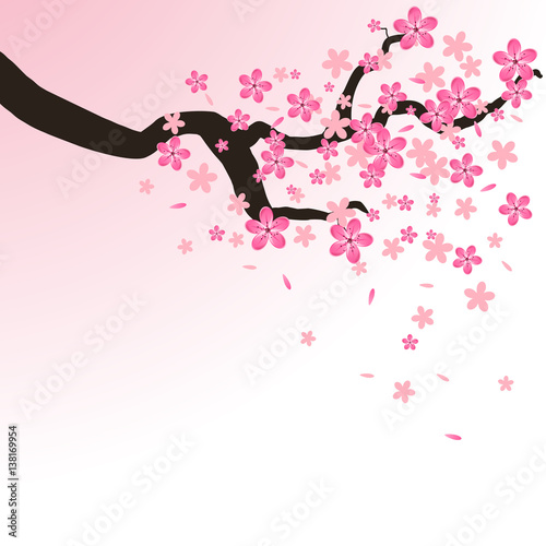 Isolated branch with flowers of sakura. Cartoon pink and white blossoms of Japanese cherry tree.