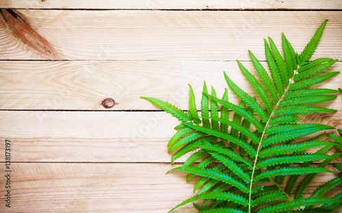 Fresh fern on wooden background, Top view with copy space