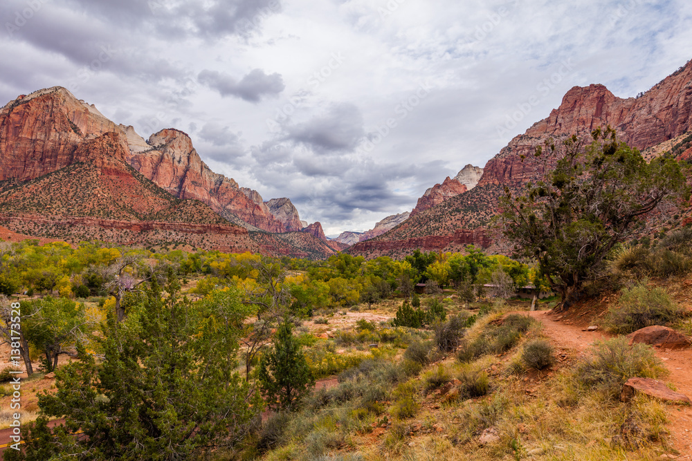 Breathtaking view of the orange cliffs. Amazing mountain landscape. Zion National Park, Utah, USA