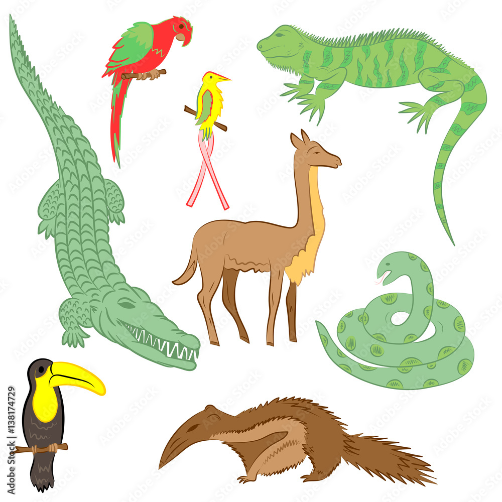 Colorful Hand Drawn Animals of South America. Doodle Drawings of Iguana, Crocodile, Parrot Ara, Toucan, Hummingbird,Anaconda, Anteater and llama. Flat Style. Vector Illustration. Stock Vector | Adobe Stock Colorful Hand Drawn Animals of South America. Doodle Drawings of Iguana, Crocodile, Parrot Ara, Toucan, Hummingbird,Anaconda, Anteater and llama. Flat Style. Vector Illustration. Stock Vector | Adobe Stock