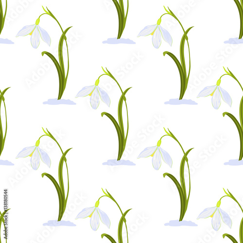 Beautiful snowdrop flowers  Galanthus nivalis  on white background. Vector seamless pattern