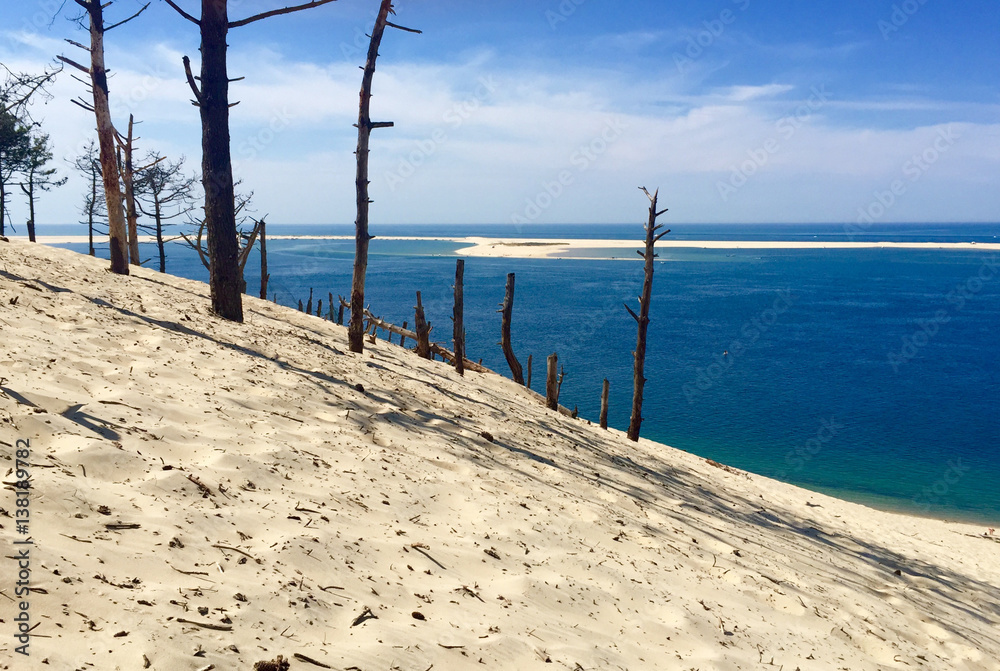 Dune de sable sur océan