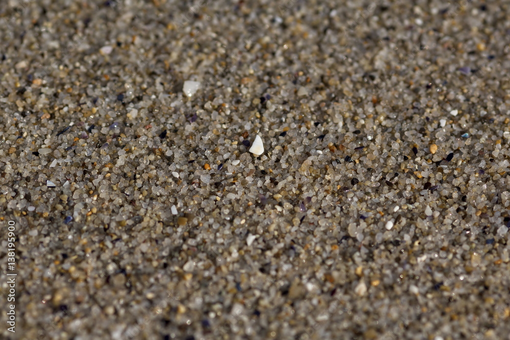 Macro shot of wet sand on the beach. Shallow depth of field