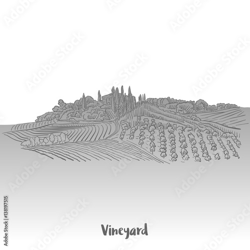 Vineyard Label Design