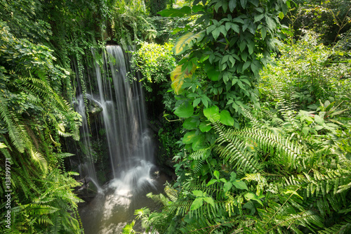 Fototapeta Naklejka Na Ścianę i Meble -  Waterfall in jungle