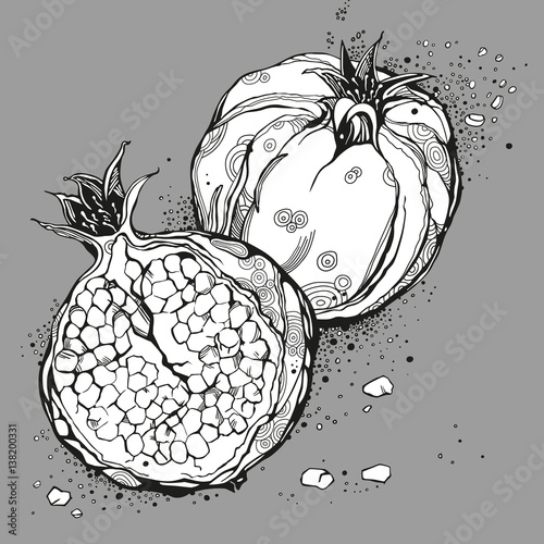 Stylized garnet or pomegranate. Vector