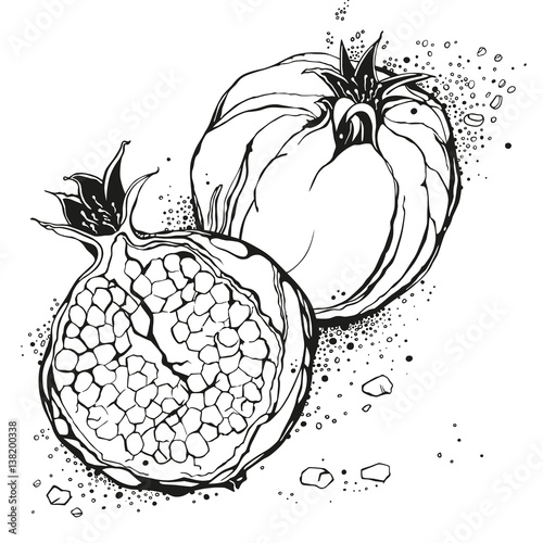 Stylized garnet or pomegranate. Vector