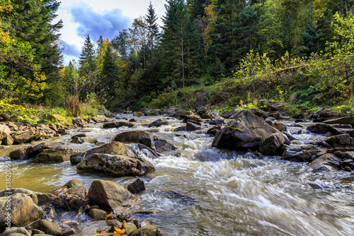 Mountain river in the autumn forest at sunny day. wonderful autumn view.