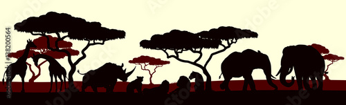Photography Animal Silhouette African Safari Landscape Scene