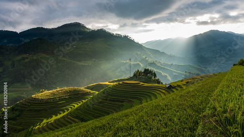 Beautiful landscape Rice fields on terraced of Mu Cang Chai  YenBai  Vietnam.