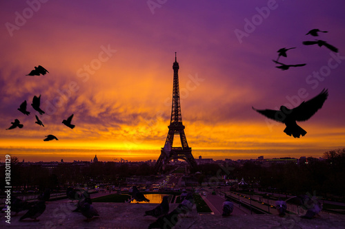 Awesome incredible pink-orange-lilac sunrise. View of the Eiffel Tower from the Trocadero. Birds doves flying in the foreground. Beautiful morning cityscape. Paris. France. © Sodel Vladyslav