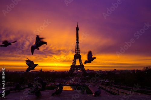 Awesome incredible pink-orange-lilac sunrise. View of the Eiffel Tower from the Trocadero. Birds doves flying in the foreground. Beautiful morning cityscape. Paris. France.