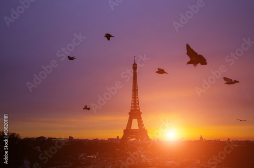 Awesome incredible pink-orange-lilac sunrise. View of the Eiffel Tower from the Trocadero. Birds doves flying in the foreground. Beautiful cityscape in backlit morning sunbeam. Paris. France.