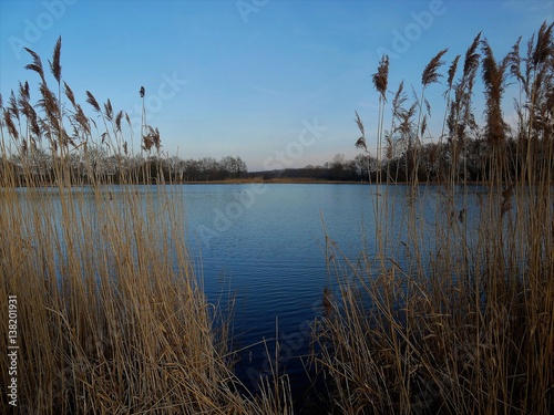 étangs de la dombes