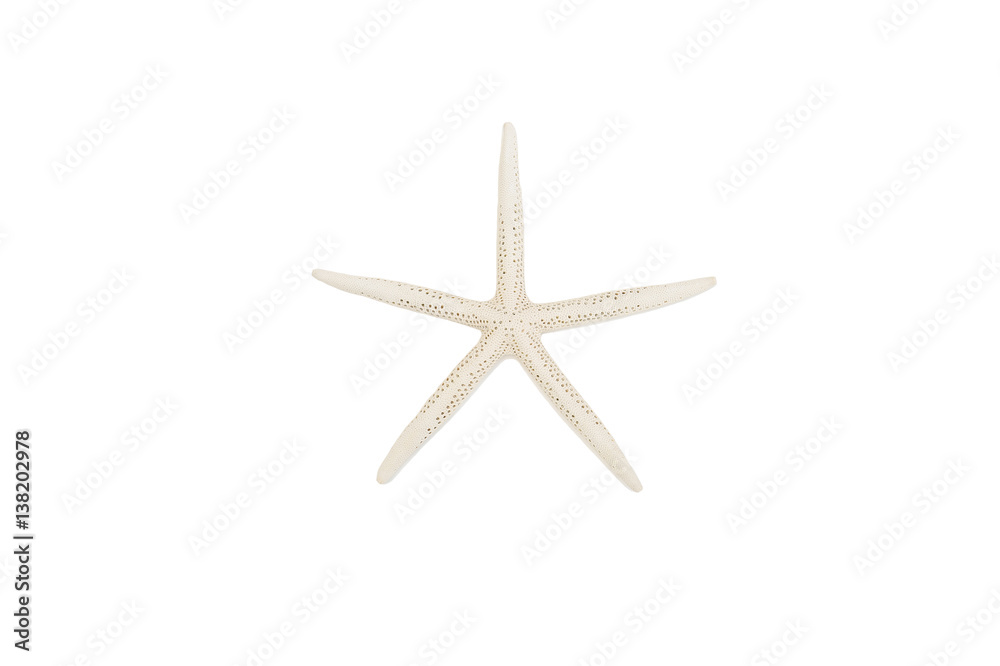 Sea Star also known as star fish isolated on white Sea Star also known as star fish isolated on white