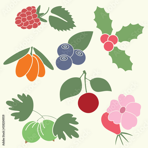Berries Illustrations