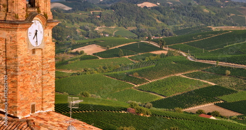 Weinberge im Piemont mit Kirchturm im Vordergrund