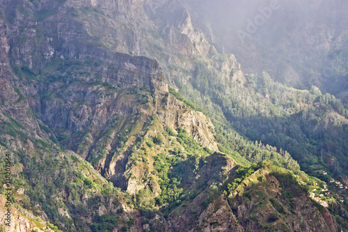 Forest mountain landscape sunlight.