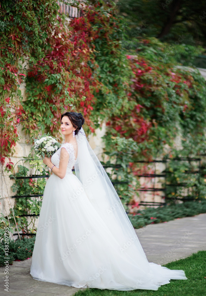 Gorgeous bride in luxury dress poses before wall with green and red ivy Gorgeous bride in luxury dress poses before wall with green and red ivy