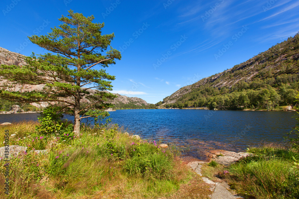 Norway, Scandinavia. Beautiful landscape tree on the lake shore middle of the stone mountains