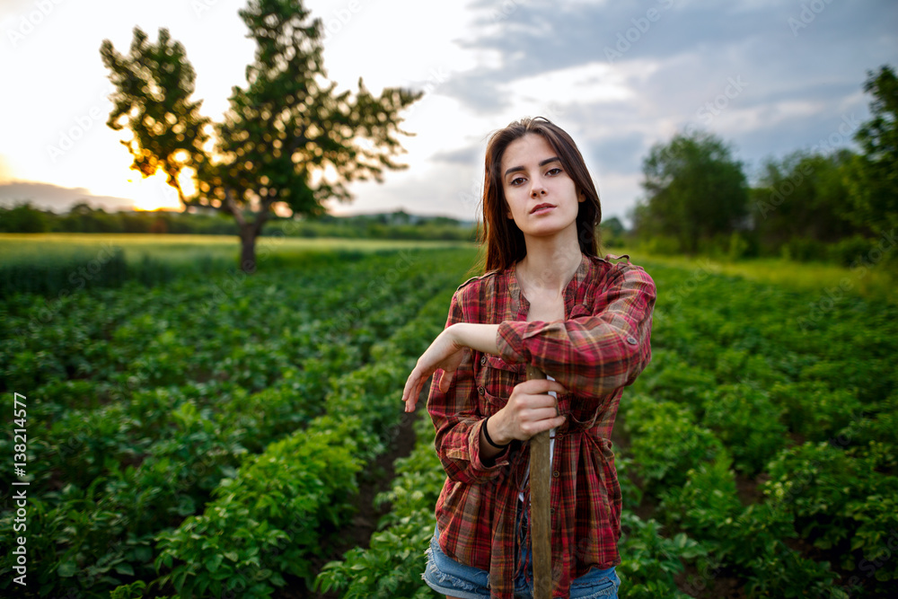 Beautiful gardener working in a vegetable garden in the sunset Beautiful gardener working in a vegetable garden in the sunset