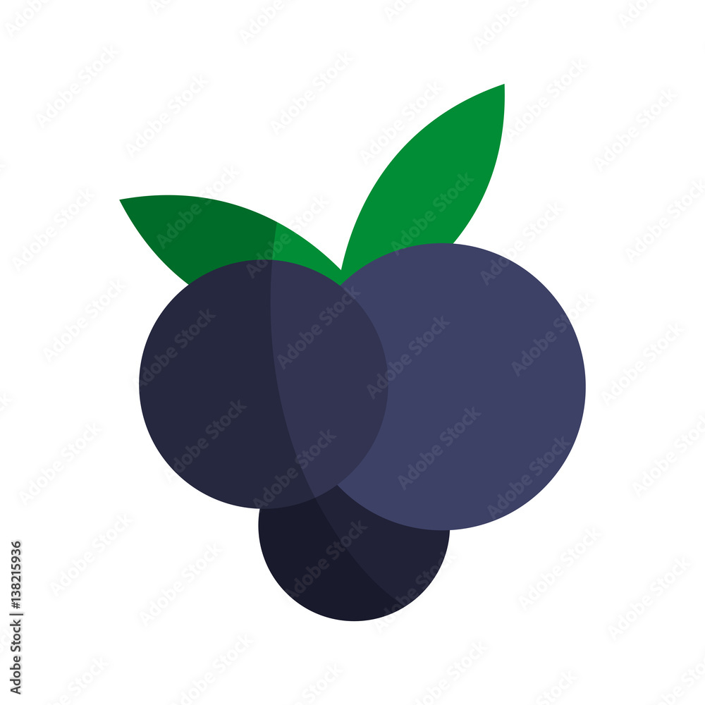 grape fruit icon over white background. colorful design. vector illustration grape fruit icon over white background. colorful design. vector illustration