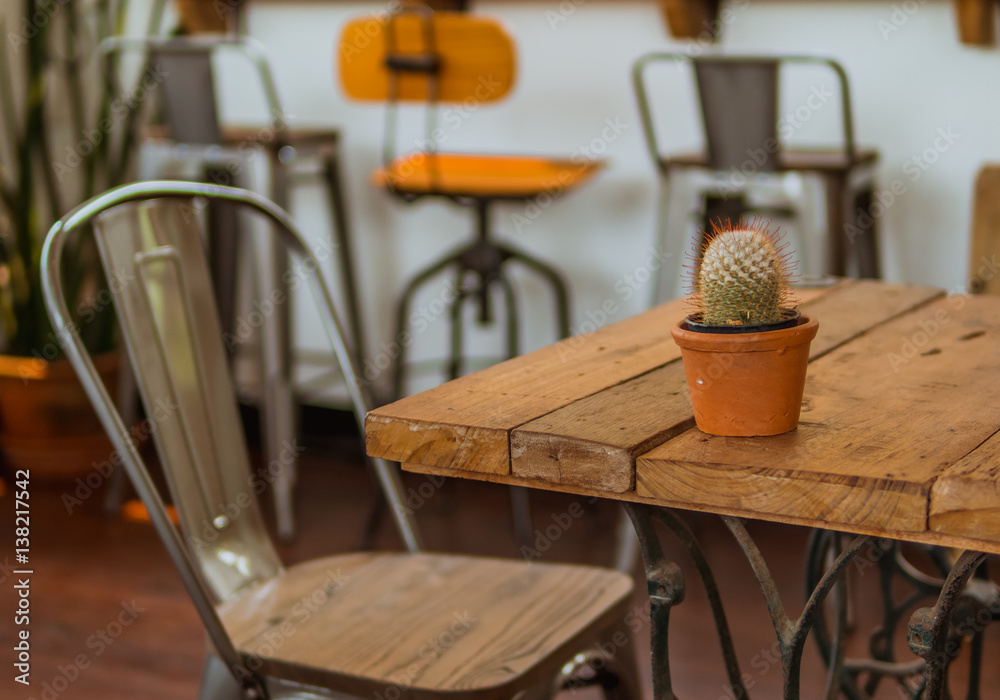 Cactus pots on wooden table.