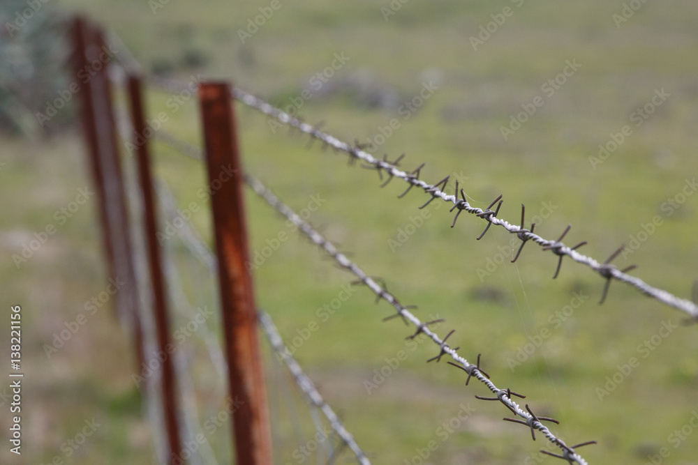 Fototapeta premium Wire fence detail