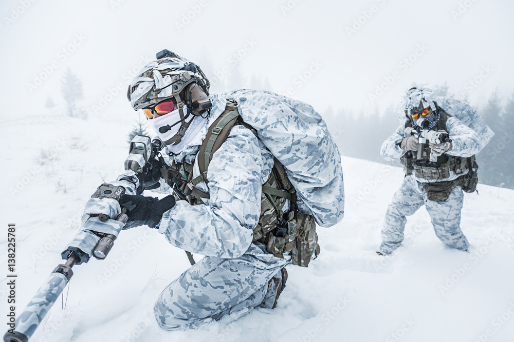 Winter arctic mountains warfare. Action in cold conditions. Pair of ...