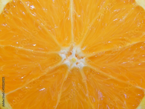 close-up of orange slices