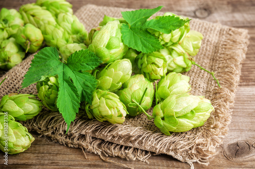green and lush hops