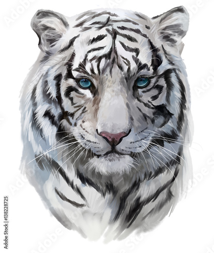 Photo The head of the white tiger