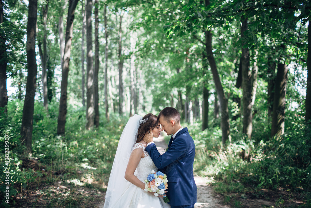 The charming brides embracing in the park The charming brides embracing in the park