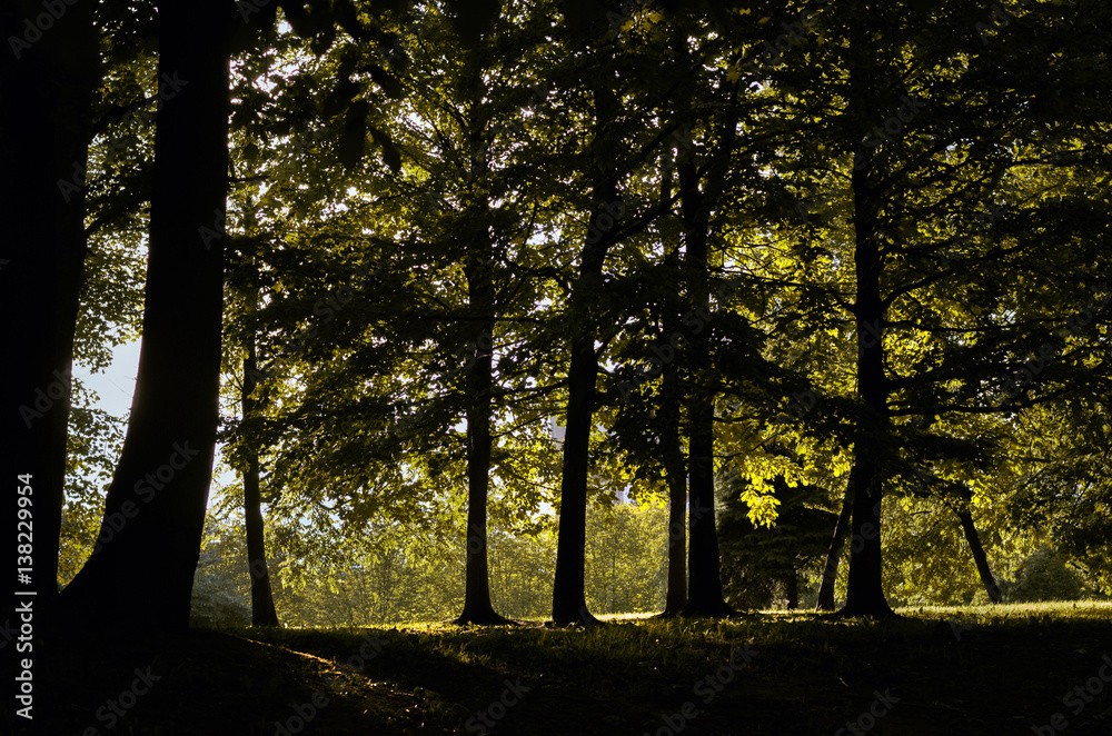 Nature Nature