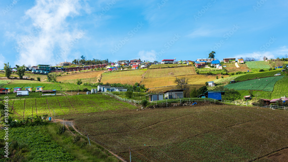 Phetchabun province, Thailand - SEPTEMBER,29,2016 : The landscape photo in morning time at Phu Tub Berk Viewpoint, Phu Hin Rong Kla National Park in Thailand Phetchabun province, Thailand - SEPTEMBER,29,2016 : The landscape photo in morning time at Phu Tub Berk Viewpoint, Phu Hin Rong Kla National Park in Thailand