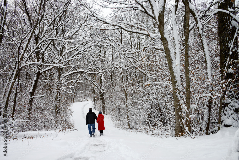 two adults walking in winter wonderland.  Snow covered trees 