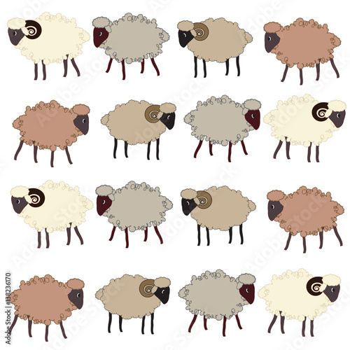 Seamless pattern  with sheep