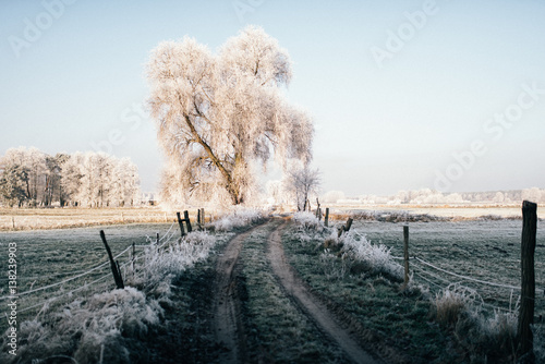 Land Brandenburg im Winter  photo