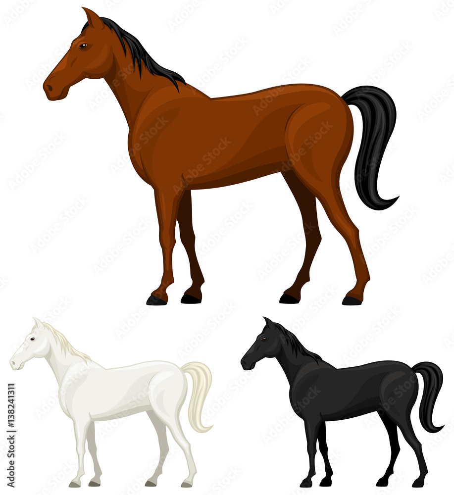 Vector illustration of a standing horse in three color variations.