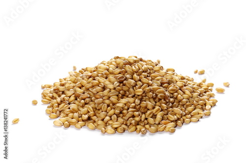  Wheat pile side view isolated on white background
