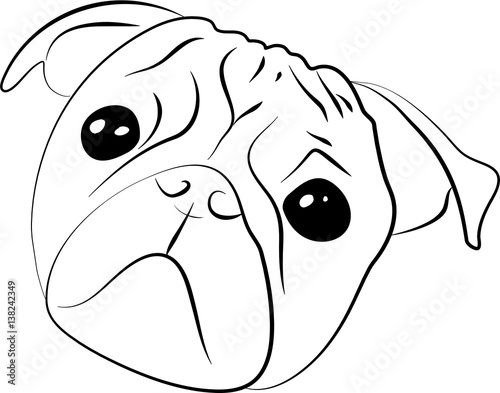 Vector sketch of  pug-dog