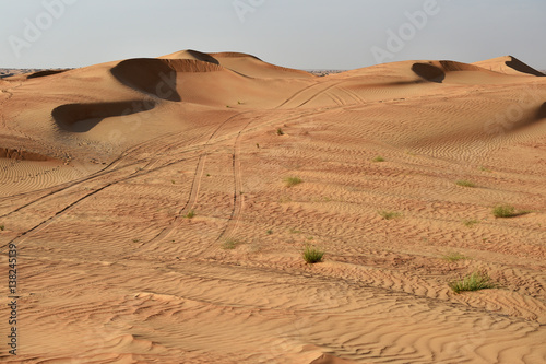 Spuren in der Sandwüste