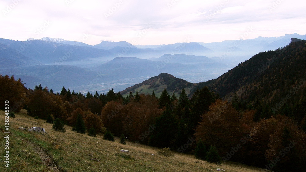 Landscape montain forest in french alps