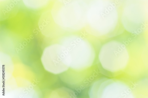 Blurred abstract spring background with patches of sunlight