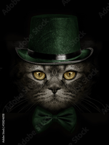Fototapeta Naklejka Na Ścianę i Meble -  dark muzzle cat  in green hat and tie butterfly